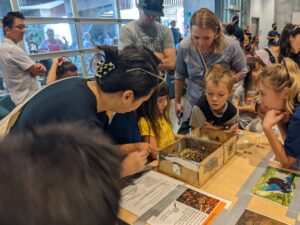 PXL_20221009_181247327