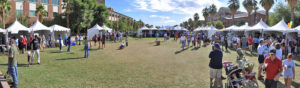 9033526_orig