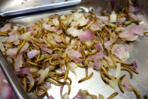 veronicaerivera-mealwormsandonions_1_orig