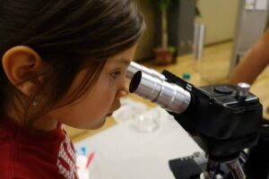 veronicaerivera-microscope_orig
