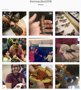 instagram2016_orig